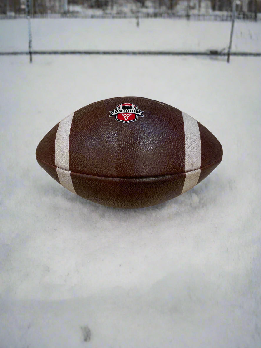 Fully Prepped Game Ready Team Issue Footballs! (Various Logos/Designs)